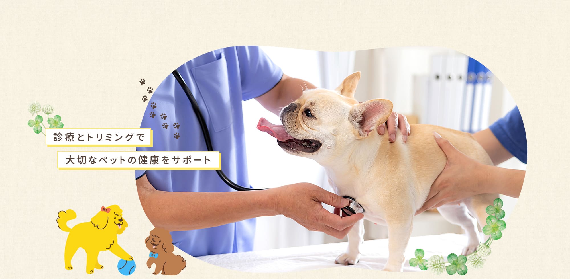 診療とトリミングで 大切なペットの健康をサポート 熊本県宇城市の動物病院たまとぽち