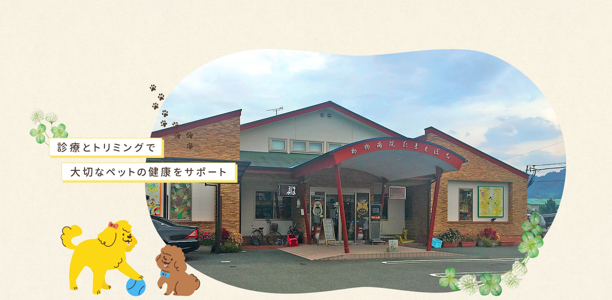 診療とトリミングで 大切なペットの健康をサポート 熊本県宇城市の動物病院たまとぽち