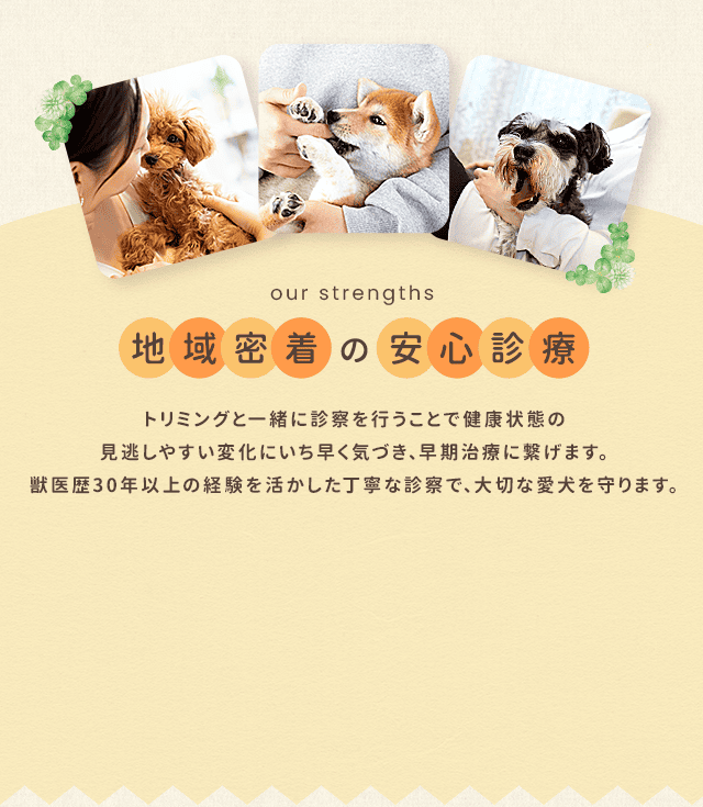 sp_secondmain_bg